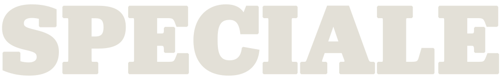 Speciale Informazioni della Difesa